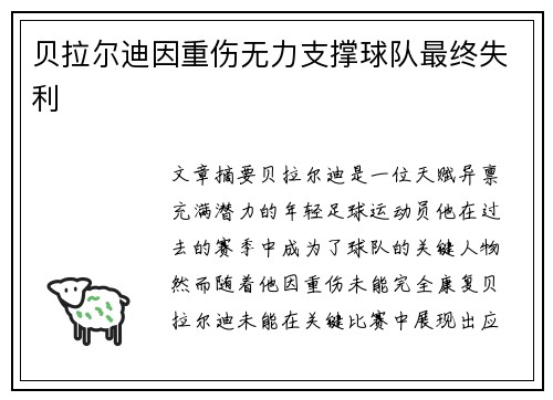 贝拉尔迪因重伤无力支撑球队最终失利