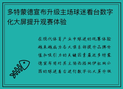 多特蒙德宣布升级主场球迷看台数字化大屏提升观赛体验
